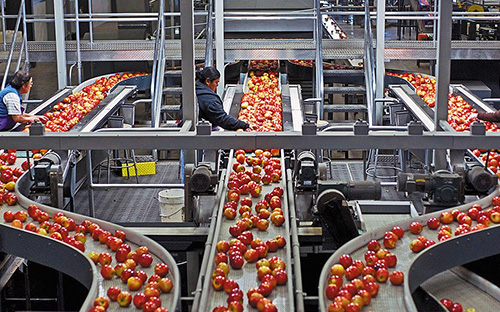 2138cn太阳集团城恭贺清涧北国枣业公司斥资 3.4亿正式投产 